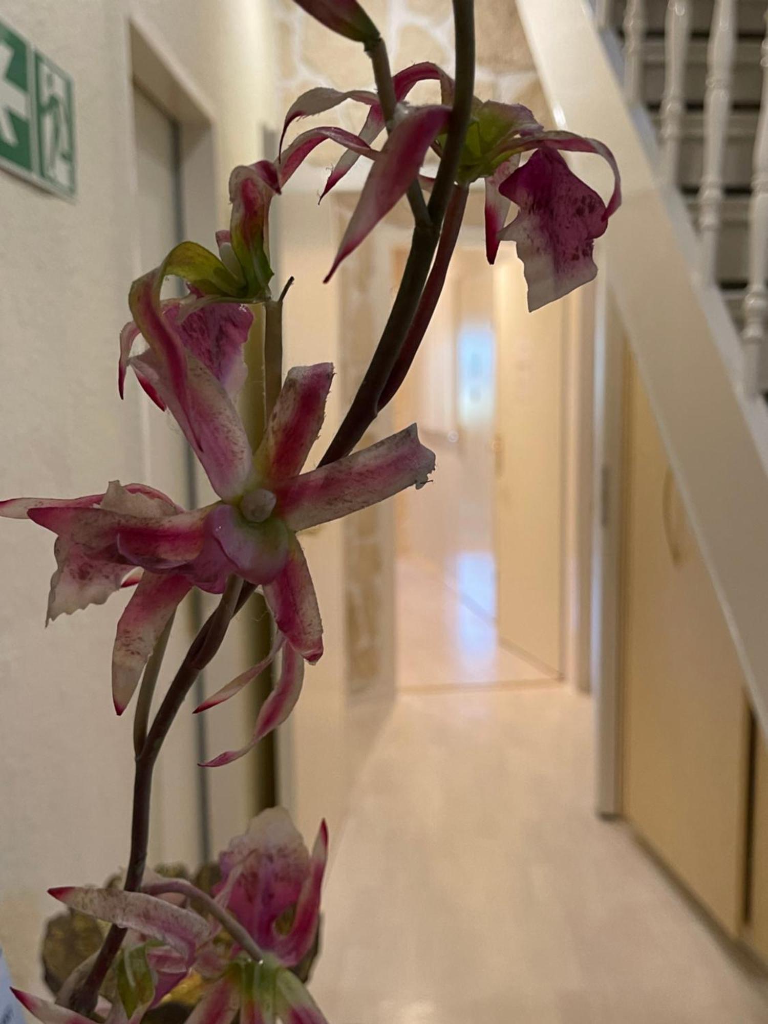 Hotel Villa Vital Munster Luaran gambar